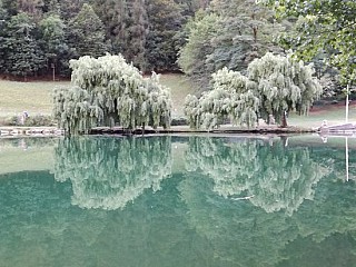 Buvette du Lac