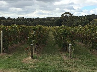 Barmah Park Vineyard Cafe