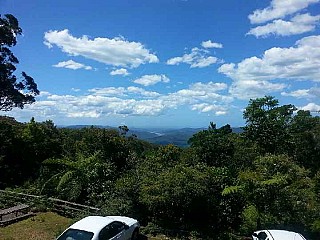 Lamington Teahouse