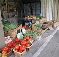 Bear Creek Farm