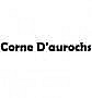 Corne D'aurochs