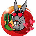 El Burro Chilango