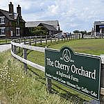 The Cherry Orchard Tearoom