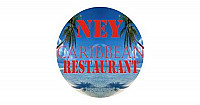 Net Caribbean ant