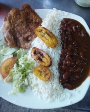 Pollo Apanado