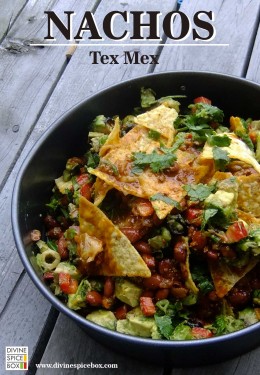 Nachos Tex Mex