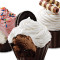 Ice Cream Cupcake Variety 6 Pack Klar Nu