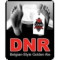 Dnr