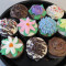 Cupcakes 6Pk.