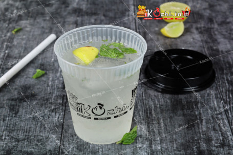 Mint Mojito 300Ml