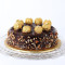 Choco Gold Cake [500Gms] Premium Cakes