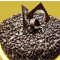 Choco Chip Cake 0.5Kg