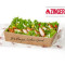 Zinger Salat Box