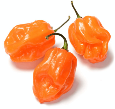 Habanero