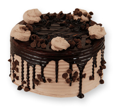 Dutch Choco Chip Cake