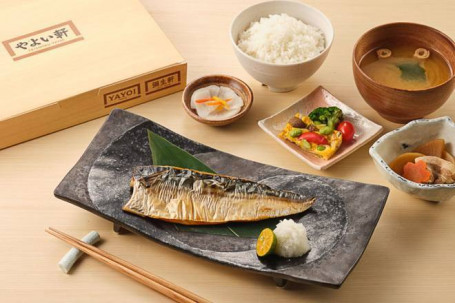 Saltgrillet Makrel Bento