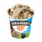 Ben Jerry's Peanut Butter Cup)