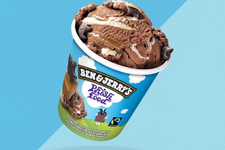 Ben Jerry Rsquo;S Phish Food Pint 458Ml