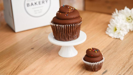 Jumbo Sour Cream Fudge Cupcake