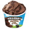 Ben Jerrys Chokolade Fudge Brownie 100Ml