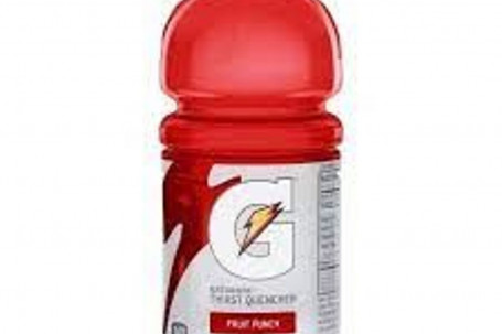 Gatorade Fruit Punch 591Ml