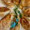 14. Pan Fried Chicken Dumplings (8)