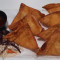 Thai Krabbe Rangoon