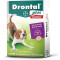 Vermífugo Drontal Plus Para Cães 10Kg Sabor Carne Bayer Por Comprimidos