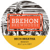 16. Bech Bretha