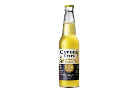 Corona Beer Bottle X4