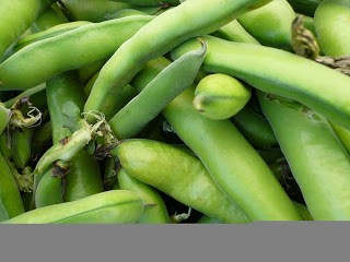 Pasta Verdure