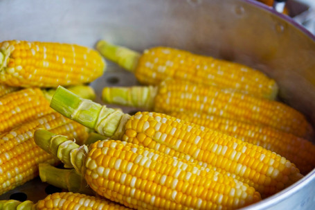 Corn Dogs