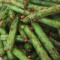 F5. Dry Sautéed String Bean