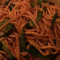 35 Vegetable Lo Mein