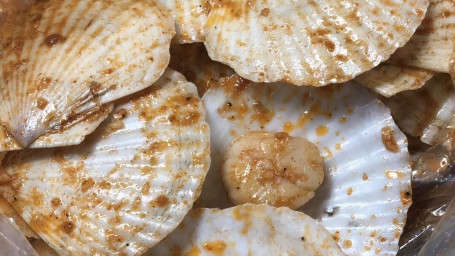 Scallops (1Lb)