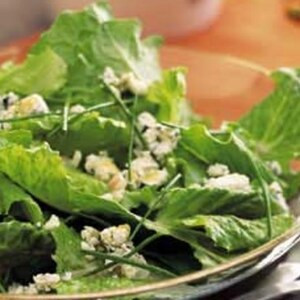 Romaine Salat