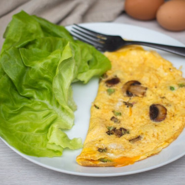 Senior Fit Fare Omelet