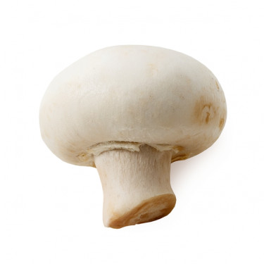 Champignon