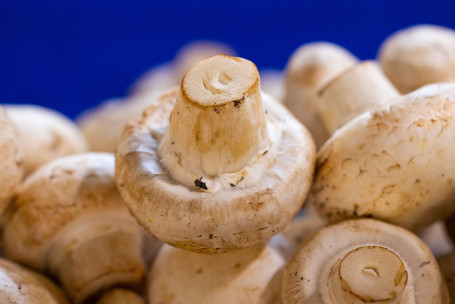 Sauterede Champignon