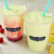 Frozen Lemonade Mixer (Medium)