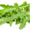 Rucola